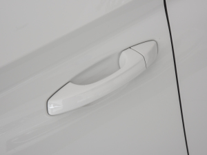 20211.5L քӘ(bio)(zhn) {T