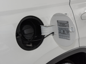 20211.5L քӘ(bio)(zhn) w