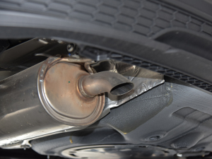 20211.5L քӘ(bio)(zhn) Ś