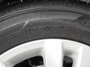 20211.5L քӘ(bio)(zhn) ݆̥ߴ