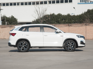 2021GT 1.5L ԄŞ (c)ң