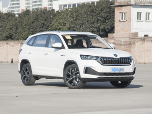 2021GT 1.5L ԄŞ ǰ45