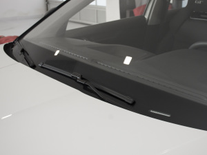 2021GT TSI230 DSGŞ ˢ