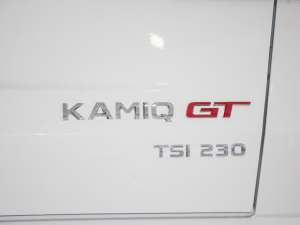 2021GT TSI230 DSGŞ ^