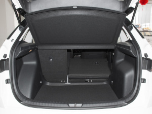 2021GT TSI230 DSGŞ g