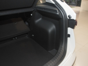 2021GT TSI230 DSGŞ g