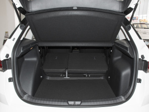 2021GT TSI230 DSGŞ g