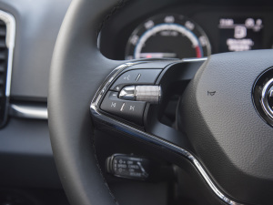 2022TSI280 F п؅^(q)