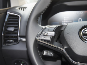 2022TSI280  {(dio)(ji)