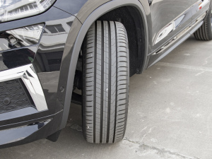 2022TSI330 5(q) (x)(ji)^