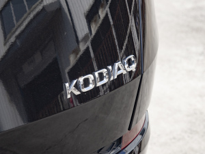 2022TSI330 5(q) (x)(ji)^