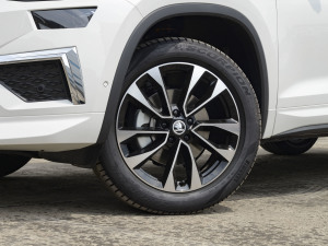 2022Ŀ TSI330 5 ݆Ȧ