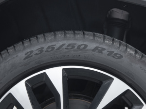 2022Ŀ TSI330 7(q) ݆̥ߴ