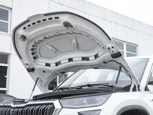 2022Ŀ TSI330 7 l(f)әCœ