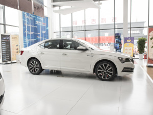 2022TSI330 DSG (c)ң