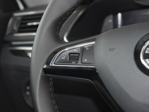 2022TSI330 DSG п؅^