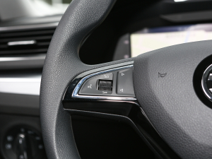 2022TSI280 DSG п؅^