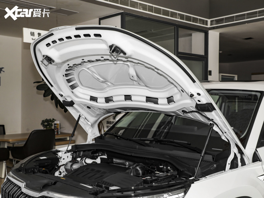 2023µρ Ŀ TSI330 5(q)(sh)