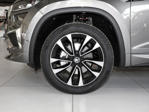 2023TSI330 5(q) ݆Ȧ