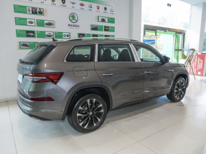 2023Ŀ TSI330 7 ȣң