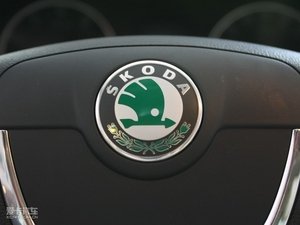 20101.4T DSGݿ п؅^