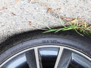 2014 1.4TSI DSG Ӱ ^