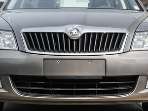 2014款1.6L 自动逸杰版 中网