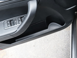 2016300TSI DSGа ǰTg