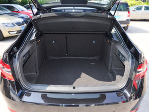 2016330TSI DSG(chung)а g