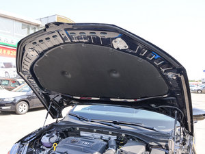 2016330TSI DSG(chung)а 