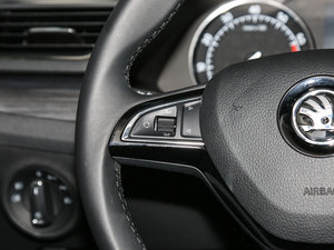 2016330TSI DSGа п؅^