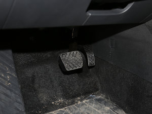 2016330TSI DSG(chung)а g