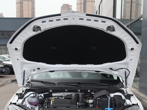 2016280TSI DSG(chung)а 