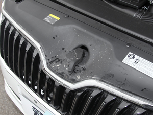 2016280TSI DSG(chung)а 