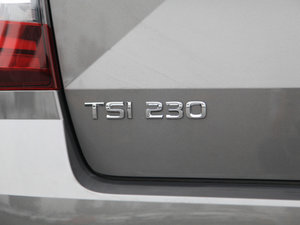 2018TSI230 DSGA ^