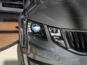 2018TSI230 DSGm (ji)^