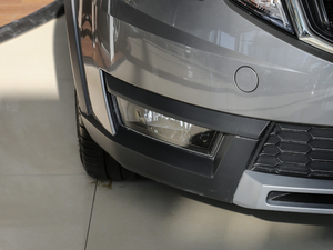 2018TSI230 DSGm (ji)^