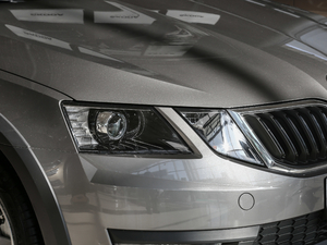 2018TSI230 DSGm (ji)^