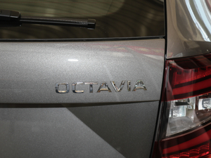 2018TSI230 DSGm (x)(ji)^