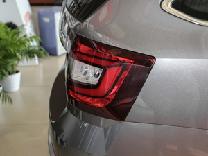 2018TSI230 DSGm (x)(ji)^