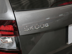 2018TSI230 DSGm (x)(ji)^