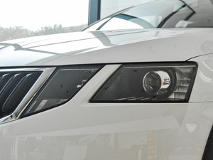 2018TSI230 DSGm (x)(ji)^