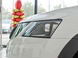 2018TSI230 DSGm (x)(ji)^