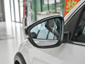 2018TSI230 DSGm (x)(ji)^