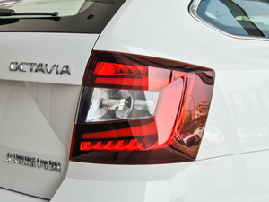 2018TSI230 DSGm (x)(ji)^