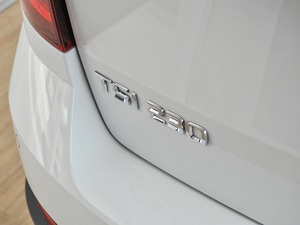 2018TSI230 DSGm (x)(ji)^