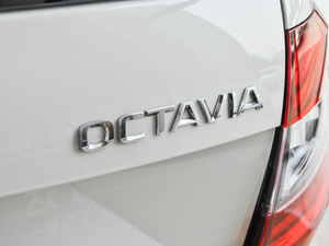 2018TSI230 DSGm (x)(ji)^