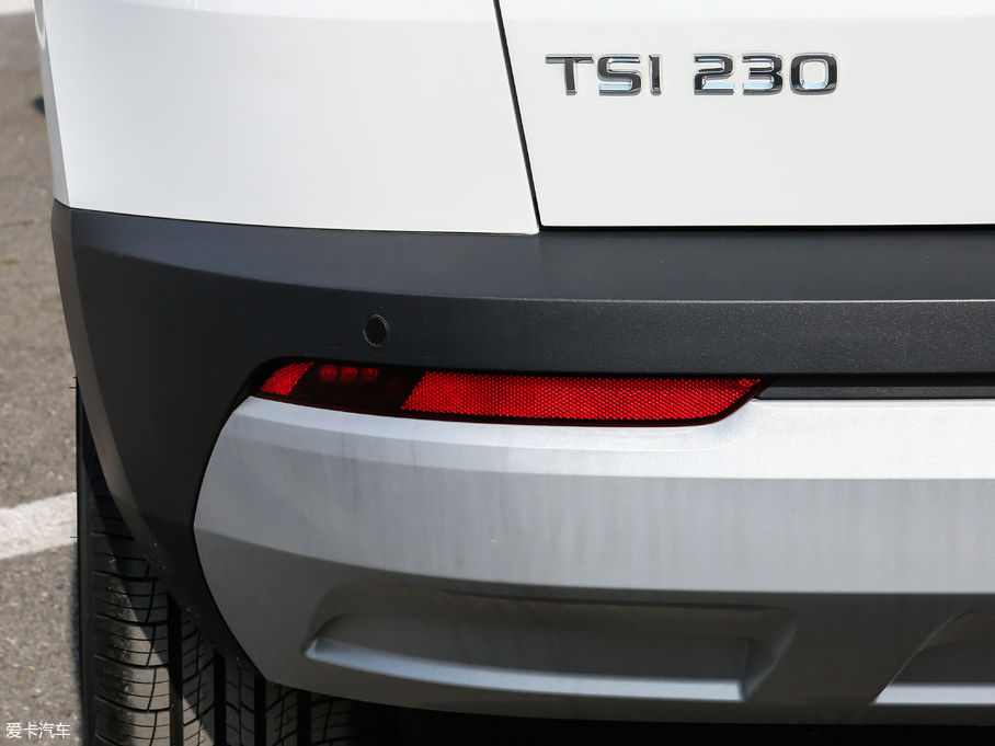 2018 TSI230 (bio)(zhn) V