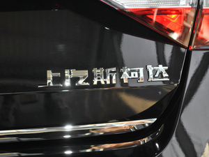 2018330TSI DSGA V (x)(ji)^