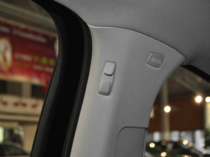 2018330TSI DSGA (gu)V g